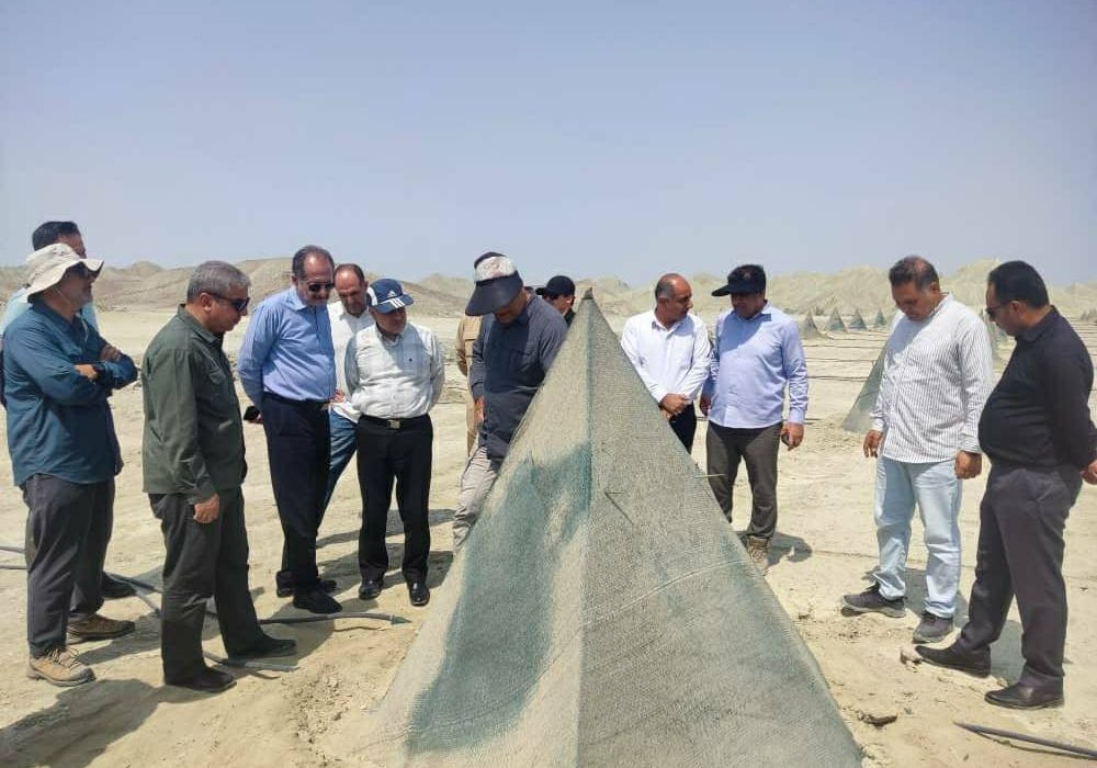 بازدید معاون وزیر جهاد کشاورزی از طرح احداث بزرگترین نخلستان مکانیزه مجول کشور در بشاگرد