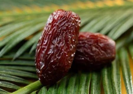فریاد بی‌پاسخ نخل‌داران بشاگرد در انتظار حمایت