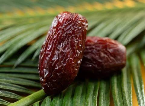 فریاد بی‌پاسخ نخل‌داران بشاگرد در انتظار حمایت